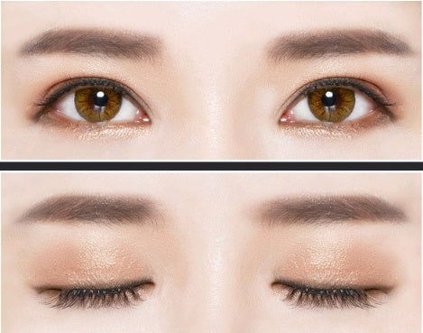 12 Color Matte Eyeshadow